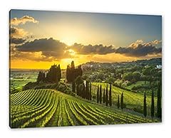 Pixxprint malerische weinberge gebraucht kaufen  Wird an jeden Ort in Deutschland