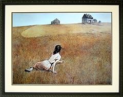 Christina andrew wyeth for sale  Delivered anywhere in USA 