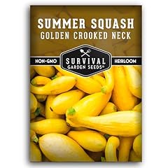 Crookneck squash seed for sale  Delivered anywhere in USA 