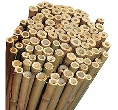 Niccolai canne bamboo usato  Spedito ovunque in Italia 