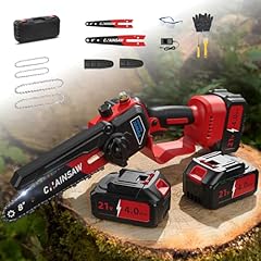 Mini motosega batteria usato  Spedito ovunque in Italia 
