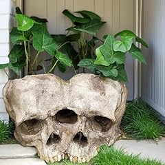 Double skull resin for sale  Delivered anywhere in USA 