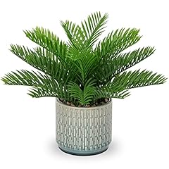 Dilatata faux plant for sale  Delivered anywhere in USA 