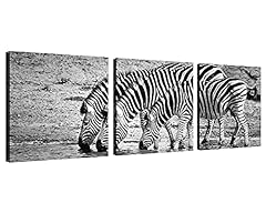 Zebra wall art for sale  Delivered anywhere in USA 