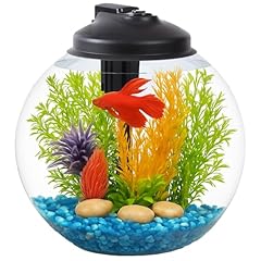 Products gallon fish for sale  Delivered anywhere in USA 