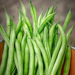 Premier seeds direct for sale  Delivered anywhere in UK