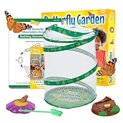 Insect lore butterfly for sale  Delivered anywhere in USA 