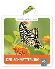 Schmetterling kleines tier gebraucht kaufen  Wird an jeden Ort in Deutschland
