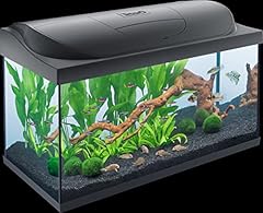 Tetra starter tropical for sale  Delivered anywhere in UK