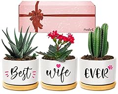 Wife birthday gifts for sale  Delivered anywhere in UK