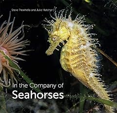 Company seahorses for sale  Delivered anywhere in UK