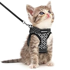 Catromance cat harness for sale  Delivered anywhere in USA 