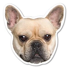 Magnet america french for sale  Delivered anywhere in USA 