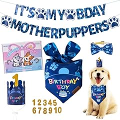Tcboying dog birthday for sale  Delivered anywhere in USA 