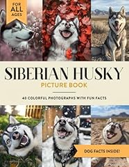 Siberian husky picture for sale  Delivered anywhere in USA 