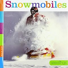 snowmobil d'occasion  Livré partout en France