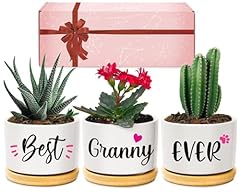 Giftasy granny gifts for sale  Delivered anywhere in UK