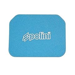 Polini schiuma filtro usato  Spedito ovunque in Italia 