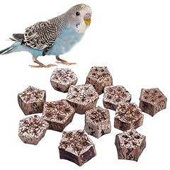 Bird chewing foraging for sale  Delivered anywhere in UK