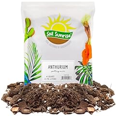 Anthurium plant potting for sale  Delivered anywhere in USA 