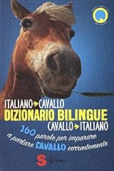 Dizionario bilingue italiano usato  Spedito ovunque in Italia 