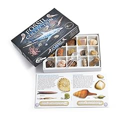 Fossil collection kit for sale  Delivered anywhere in Ireland