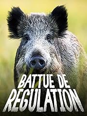 Battue régulation d'occasion  Livré partout en France