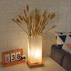 Floresita vase lamp for sale  Delivered anywhere in USA 