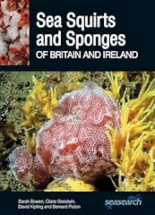 Sea squirts sponges for sale  Delivered anywhere in UK
