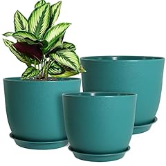 Wousiwer plant pots for sale  Delivered anywhere in USA 