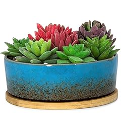 Artketty succulent pots for sale  Delivered anywhere in USA 
