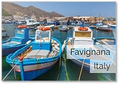 Calamita per frigorifero usato  Spedito ovunque in Italia 