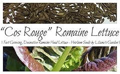 Cos rouge lettuce for sale  Delivered anywhere in USA 