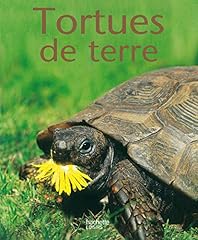 Tortues terre d'occasion  Livré partout en France