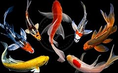 Swimming creatures pcs for sale  Delivered anywhere in USA 