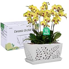 Lksszs ceramic orchid for sale  Delivered anywhere in USA 