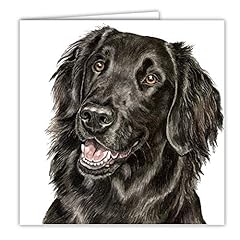 Flat coated retriever for sale  Delivered anywhere in UK