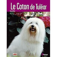 Coton tuléar d'occasion  Livré partout en Belgiqu