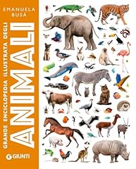 Grande enciclopedia illustrata usato  Spedito ovunque in Italia 