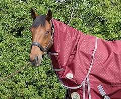 Ruggles turnout neck for sale  Delivered anywhere in UK