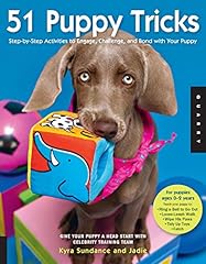 Puppy tricks step d'occasion  Livré partout en Belgiqu