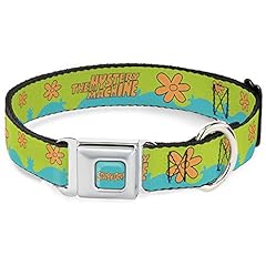 Buckle dog collar for sale  Delivered anywhere in USA 