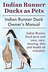 Indian runner ducks for sale  Delivered anywhere in USA 