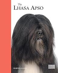 Lhasa apso best for sale  Delivered anywhere in UK