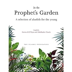 Prophet garden selection for sale  Delivered anywhere in UK