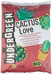 Undergreen cactus love usato  Spedito ovunque in Italia 