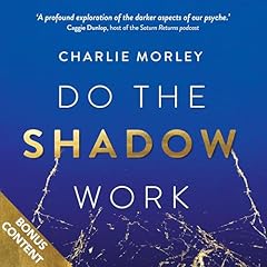 Shadow work find for sale  Delivered anywhere in UK