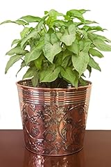 Tangerine embossed brass for sale  Delivered anywhere in USA 