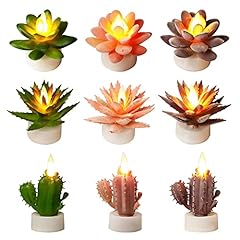 Succulent cactus candles for sale  Delivered anywhere in USA 