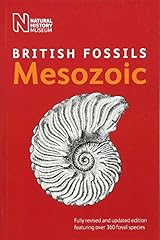 British mesozoic fossils for sale  Delivered anywhere in UK